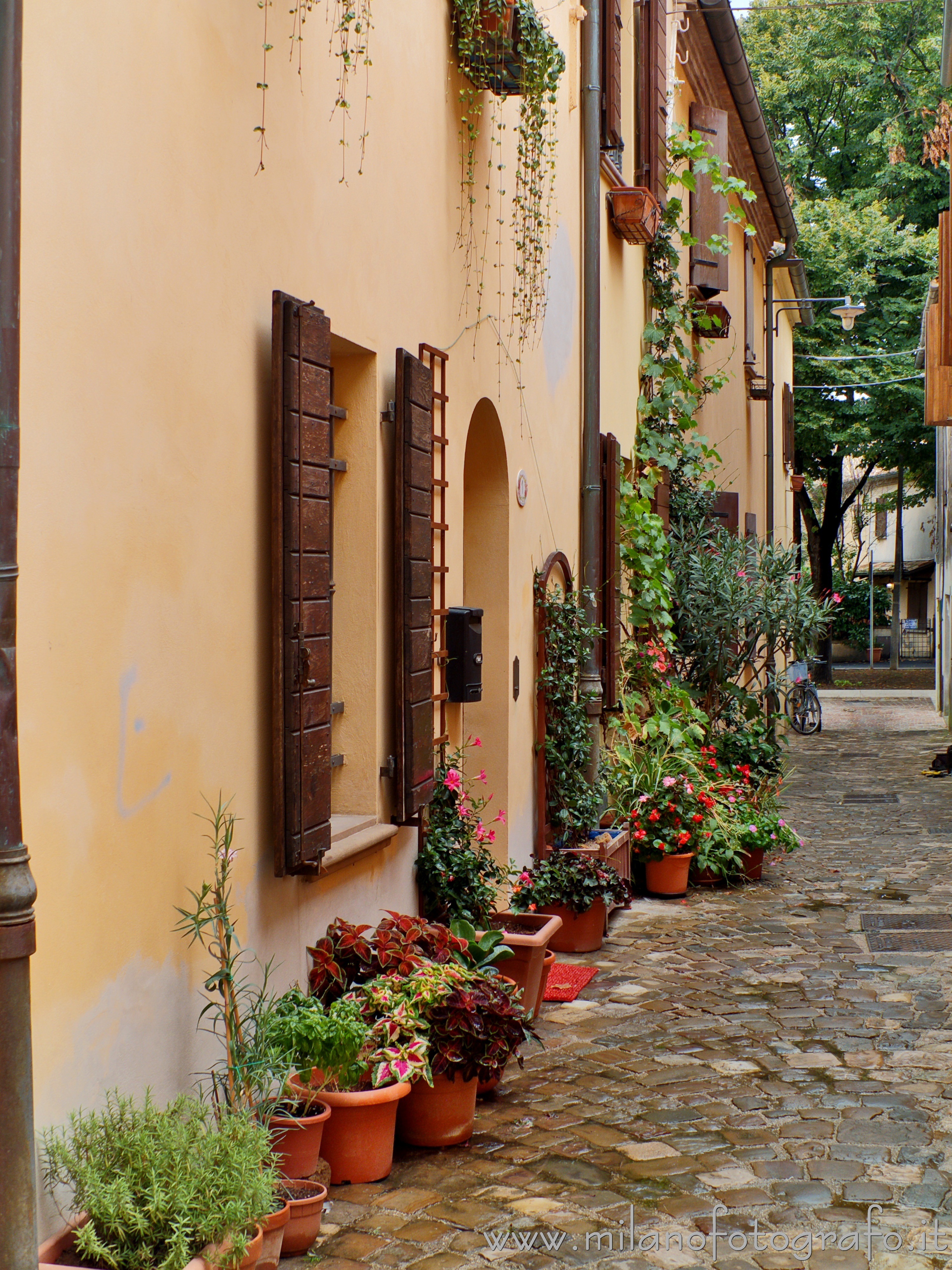 San Giovanni in Marignano (Rimini, Italy) - Glimpse of Fabbro street - Full resolution picture